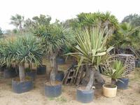 Wanderung entlang der ehemaligen Verteidigungslinie 