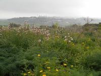 Wanderung entlang der ehemaligen Verteidigungslinie 