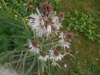 Wanderung entlang der ehemaligen Verteidigungslinie 