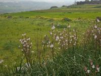 Wanderung entlang der ehemaligen Verteidigungslinie 