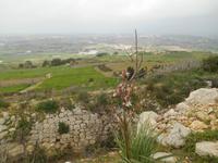 Wanderung entlang der ehemaligen Verteidigungslinie 