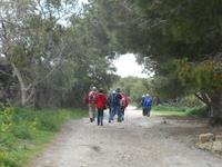Wanderung entlang der ehemaligen Verteidigungslinie 