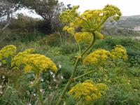 Wanderung entlang der ehemaligen Verteidigungslinie 