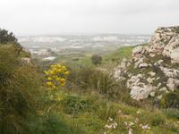 Wanderung entlang der ehemaligen Verteidigungslinie 