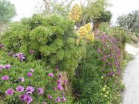 Wanderung hinunter nach Mgarr