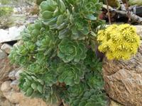 Wanderung hinunter nach Mgarr