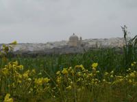 Wanderung hinunter nach Mgarr