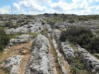Clapham Junction Cart Ruts (Schleifspuren)