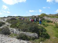 Wanderung von Buskett zu den Dingli-Klippen