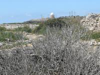 Wanderung von Buskett zu den Dingli-Klippen (Blick auf eine alte Radarstation)