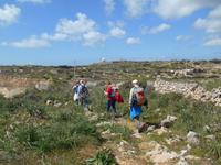 Wanderung von Buskett zu den Dingli-Klippen