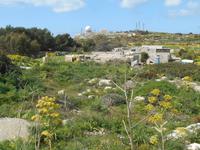 Wanderung von Buskett zu den Dingli-Klippen
