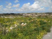 Wanderung von Buskett zu den Dingli-Klippen