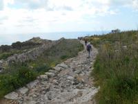 Wanderung von Buskett zu den Dingli-Klippen