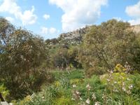 Wanderung entlang der Dingli-Klippen (Il-Fawwara)