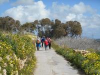 Wanderung entlang der Dingli-Klippen (Il-Fawwara)