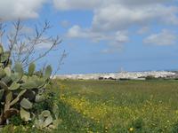 Wanderung nach Ghar Lapsi