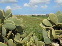 Wanderung nach Ghar Lapsi