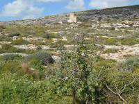 Wanderung nach Ghar Lapsi