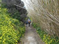 Wanderung von Bahrija nach Migra I-Ferha