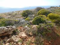 Wanderung von Golden Sands nach Mellieha