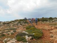 Wanderung von Golden Sands nach Mellieha