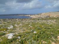 Wanderung von Golden Sands nach Mellieha