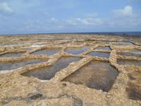Insel Gozo (Wanderung von Qbajjar nach Gharb - Salzpfannen)