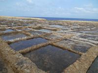 Insel Gozo (Wanderung von Qbajjar nach Gharb - Salzpfannen)
