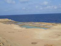 Insel Gozo (Wanderung von Qbajjar nach Gharb - Salzpfannen)