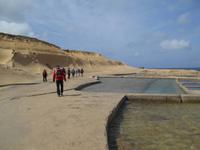 Insel Gozo (Wanderung von Qbajjar nach Gharb - Salzpfannen)