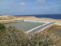 Insel Gozo (Wanderung von Qbajjar nach Gharb - Salzpfannen)