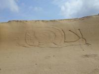 Insel Gozo (Wanderung von Qbajjar nach Gharb)