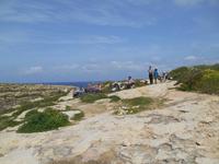 Insel Gozo (Wanderung von Qbajjar nach Gharb - Mittagspause Tal Nikol bzw. oberhalb der  Schlucht des Wied-Ghasri)