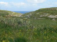 Insel Gozo (Wanderung von Qbajjar nach Gharb - Tal Wied-Ghasri)