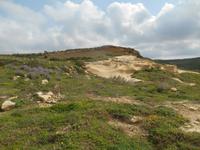 Insel Gozo (Wanderung von Qbajjar nach Gharb)