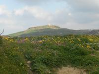 Insel Gozo (Wanderung von Qbajjar nach Gharb)