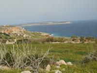 Wanderung von Selmun Palace nach Golden Sands (Selmun Bay)