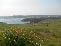 Wanderung von Selmun Palace nach Golden Sands (St. Paul´s Bay bzw. Mistra Bay)