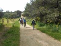 Wanderung von Selmun Palace nach Golden Sands