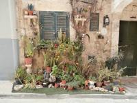 Senglea und seine Blumen Malta
