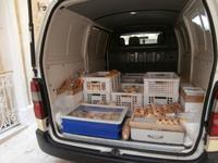 Vittoriosa in Malta-Backware frei Haus