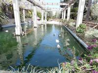 Gärten von San Anton, Malta