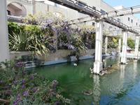 Gärten von San Anton, Malta