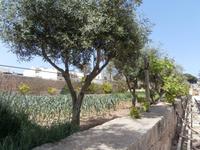 Gärten von San Anton, Malta