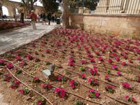 Upper Barraca Garden in Valletta