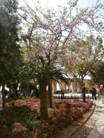 Upper Barraca Garden in Valletta