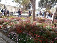 Upper Barraca Garden in Valletta