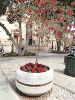 Upper Barraca Garden in Valletta