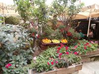 Mdina-alte Hauptstadt Maltas